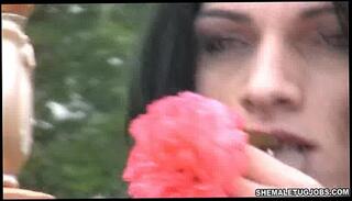 Video 53210855: selfsuck, shemale trans, sucking trans, trans shower