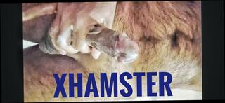 Video 1605802421: solo joi, solo gay boy masturbates, teen boy solo masturbation, solo cock masturbation cum, dick solo masturbating cumming, solo boys cumshots gay, solo gay sex boy, amateur teen solo masturbation, masturbation indian boy solo, young boy solo masturbation, solo boy big cock, solo hunk masturbating, solo masturbate teen asian, solo teen masturbation hd, solo bathroom masturbation, daddy bear solo, black boy solo, solo man big dick, old man solo, desi solo, big cock cuming