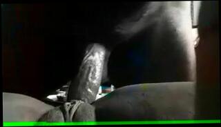 Video 146734895: dick missionary, deep missionary