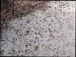 Video 1594270251: solo big cock masturbation, solo gay cock, solo amateur masturbation, solo outdoor masturbation, small cock solo, solo masturbation hd, solo beach