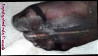 Video 1624133431: fetish gay solo, nylon fetish, gay fetish cumshot, solo amateur cumshot, nylon sperm, daddy fetish, nylon lover, fetish close, fetish hd