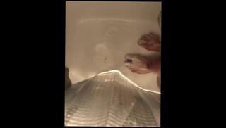 Video 1106200803: solo gay uncut cock, feet uncut, uncut solo male, uncut jock, uncut cock cumshot, amateur uncut cock, uncut cock blowjob, uncut latino cock, small uncut cock, uncut shower, feet wash