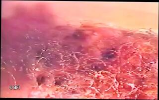 Video 1625351331: bdsm fetish chick, hot wax punishment, domination punish, piss punishment, bdsm wax play, vintage punishment, girl punishing hot cute, piss cum hot, dominates straight, punishing hot tie, sweet punishment, cutie dominated, hottest pissing