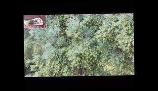 Video 1617396151: foot fetish oral sex, foot fetish couple, foot fetish blowjob, best amateur foot fetish, foot fetish sucking, foot fetish licking, wife foot fetish, foot fetish cock, outdoor foot fetish, mature foot fetish, foot fetish hd, foot fetish big, sucking dick foot, big boobs foot, straight foot, big hair fetish, husband blowjob, portuguese couple, public blowjob