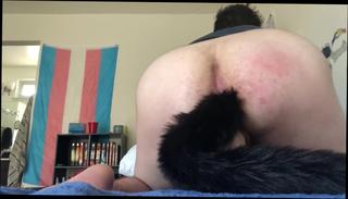 Video 908309404: kitten, ftm squirting, solo shemale toying, solo shemale masturbating, solo shemale amateur, ftm dirty talk, ftm daddy, little squirt