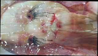 Video 941903101: slutty friend, gay friend, man gay, gay hd