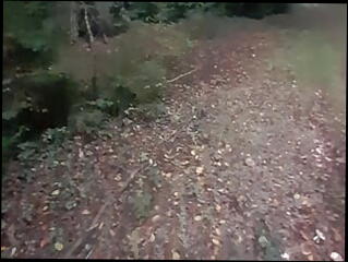 Video 1601944431: pee pissing outdoor, teen gay pissing porn, big cock handjob pissing, amateur gay piss, piss cumshot, european piss, pissing close, public pissing