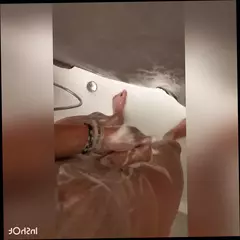 Video 1577909761: massage compilation, gay handjob compilation, amateur handjob compilation, gay masturbation compilation, gay ass compilation, massage erection, penis massage, handjob compilation hd, striptease compilation