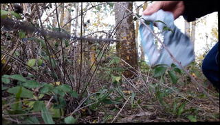 Video 1221748401: lesbian surprise, lesbian car, straight