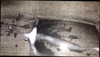 Video 181405925: super cumshot