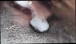 Video 1617255201: uncut cock cumshot compilation, gay bareback twink boy, grandpa cumshot compilation, grandpa cum compilation, big cock bareback compilation, grandpa blowjob compilation, white twink bareback gay, twink handjob compilation, homemade twinks bareback, amateur bareback compilation, twink daddy bareback, twink anal compilation, black bareback compilation, college twink barebacking, twinks gays boys masturbations, gay cum eating compilation, webcam cumshot compilation, old man cum compilation, german cumshot compilation, cumshot compilation hd, office compilation