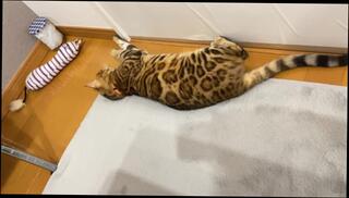 Video 1580517793: threesome creampied uncensored, interracial threesome bisexual, threesome lesbian orgy, pussy creampie uncensored, bisexual virgin, hentai virgin, virgin pussy orgasm, boy pussy creampie, virgin lady, hentai trap, hentai 60fps, erotic