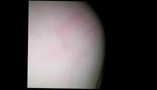 Video 443405075: bbw pawg big booty, pawg bbw bbc, pawg bbc backshots, big booty pawg riding, big ass booty pawg, pawg cowgirl riding, pawg takes dick, freak pawg, dick star