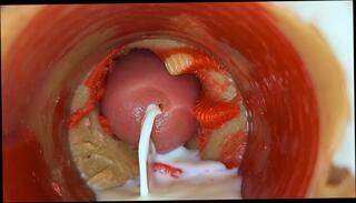 Video 1655702501: doctor pov, doctor gay porn, doctor teacher, pov hd porn