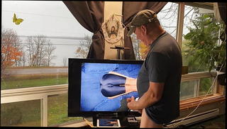 Video 1036251701: gay masturbation cum, amateur masturbating cumming, horny pussy, amateur masturbation hd