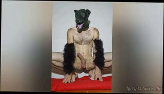Video 1664567075: hairy cock solo, solo hairy masturbation, fetish solo masturbation, hairy doggy style, furry hairy, hairy man solo, amateur homemade solo masturbation, cock masturbation solo cumshot, hairy cock boys, solo boy big cock, amateur latin doggy style, dogging doggy style, doggy masked, latino doggy