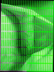 Video 348599101: crossdresser masturbating cumming, gay crossdresser, crossdresser panties, crossdresser pink, man crossdresser, cock play cum, girlfriend's cock