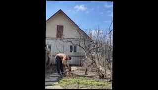 Video 1592906893: amateur solo male, amateur spring