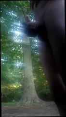 Video 335650001: park jerk, man gay