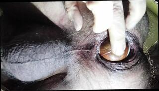 Video 1622035971: solo anal toy, homemade solo anal, gay homemade solo, mature solo toys, solo european, solo hd, toys stretched, spanish homemade