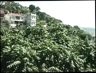 Video 130086201: interracial gay cock, interracial hunks, interracial big cock, interracial latino, brazilian interracial, man interracial, brazil cock