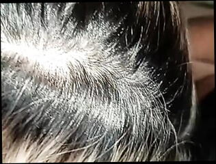 Video 1595391451: femdom milf fucks, femdom amateur milf, femdom slapping, blonde milf femdom, milf closeup, milf ass fucked anal, milf hardcore ass fuck, milf homemade hardcore anal, amateur milf wife fucking, slapped throat fucked, milf ass hole fucked, dirty milf deep throats, ass latin milf fucked, milf ass fucked hard, milf bitch fucked, milf fucks tight ass, ass fucking hot milf, mom hot milf fucked, closeup anal sex, milf deep throat taboo, desi closeup fucking, milf fucking harder, vagina closeup, old milf ass, hd hot milf fucked, straight milf, slapping spitting, milf nailed hard, closeup pleasuring, hot colombian milf, milf family, 18 years ass fuck, bitch moans, dick ass, ass screams, spanking