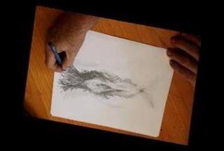 Video 63292801: very hairy pussy, hairy big clit, friends hairy pussy, hairy straight, close inspection