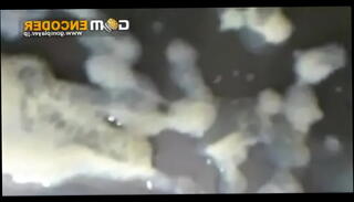 Video 92541585: solo boy cum, japanese bukkake cum, solo boy big, super cum