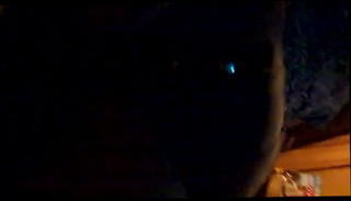 Video 527019601: vintage hunks, vintage gay, friend vintage, vintage outdoor, vintage beach