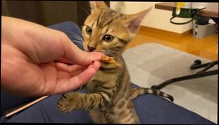 Video 1580344863: hairy amateur pussy squirts, hairy pussy solo masturbation, solo masturbation squirting orgasm, squirting pissing pussy, squirt piss anal, solo male piss, bukkake hentai, anal licked hairy pussy, blowjob hairy pussy, pussy eating squirting, hairy pussy small, romantic hentai, hentai 60fps, pussy sucking, stuffs pussy, cute little pussy, crazy pussy