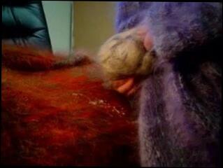 Video 52624801: gay masterbation, masterbating cumming, love masterbating, man masterbating