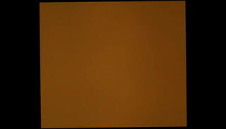 Video 1265035225: bbc homemade amateur, booty tranny, fat booty