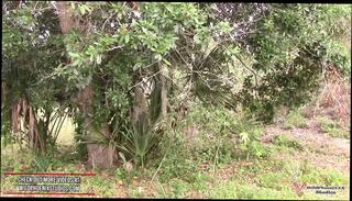 Video 1663238861: kendra lynn, teen handjob cum sex, handjob facial cum, handjob facial cumshot, girl handjob sex, teen girl public sex, amateur teen tight ass, sex big ass girl, amateur blonde teen girl, straight teen cums, facial cumshot outdoor, short girl big ass, desperate amateurs cumshot, amateur parking sex, girl hd sex, stranger handjob public, jeans handjob, big ass english, jerking