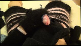 Video 1582421651: fetish gay solo masturbation, solo masturbation pov, pov solo cumshot, pov masturbation orgasm, pov masturbation cum, amateur pov orgasm, solo orgasm hd, clothed fetish, american fetish, masturbation cum shot, pants masturbation, good cum shot, black masturbation