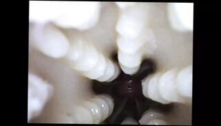 Video 1609749711: pov creampie sex, pov domination porn, girl creampie cum, creampie gay porn, creampie cum inside, moaning creampie, best pov porn, rough sex creampie, creampie close, creampie british, cum inside pussy, pussy camera, wife love, man wife