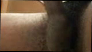 Video 1263963501: bbc stroking cock, bbc big black cock, big black dick bbc, bbc stroke cumshot, bbc huge cock, bbc orgasm, bbc homemade, straight bbc, bbc huge load, biggest bbc, american bbc, old bbc, daddy blows, 18 year old cock