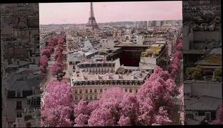 Video 1623268301: crossdresser sissy solo play, crossdresser sissy bitch, crossdresser tranny sissy, slutty sissy crossdresser, sissy crossdresser whore, sissy crossdresser shemale, sissy crossdresser homemade, amateur sissy crossdresser, sexy sissy crossdresser, sissy crossdresser cock, sissy crossdresser masturbates, hot sissy crossdresser, crossdresser sissy lingerie, sissy crossdresser big, sissy slut bitch whore, dick shemales sissies, sissy slut ass, crossdresser masturbating high heels, little sissy slut, crossdresser masturbating stockings, beautiful tranny solo, pretty shemale solo, solo outdoor masturbation, european solo masturbation, solo masturbation hd, crossdresser skirt, sissy thong, sissy tied, french crossdresser, string ass