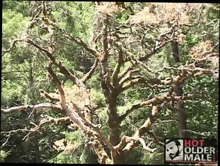 Video 1654501231: cock sucker barebacked, gay couple bareback, cock blowjob bareback, outdoor bareback gay, gay man bareback, gay mature bareback, english bareback, bareback outside, bareback hd, cock sucker sucks, boy bubble butt, little bubble butt, sexy daddy, daddy catches, boy sticking, sexy natural