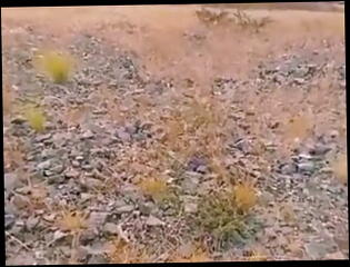 Video 1602156481: gay sex bareback boy, cock gay bareback sex, solo gay sex boy, amateur bareback gay sex, gay outdoor bareback sex, daddys big cock bareback, bareback young gay boy, bareback straight boys, gay man solo, amateur solo hd, mexican solo, military bareback, old man bareback, uniform bareback, gay boy step daddy, hetero's big cock, mexican masturbation, masturbating boss