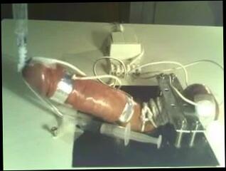 Video 234577701: milking machine, bondage milking, milking gay, man milk