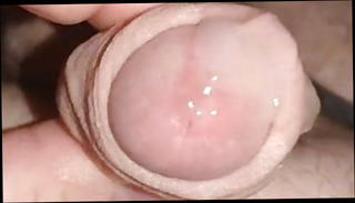 Video 1413534401: masturbation chubby bbw fat, chubby bbw amateur, chubby daddy cums, chubby gay daddy, bbw handjob cumshot, chubby daddy bear, chubby fat cock, chubby small cock, hd chubby