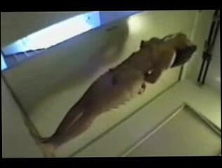 Video 8939601: submissive bdsm bondage, bdsm bondage extreme, bondage dom, bondage gagged, asian bondage babe, dom straight, naughty dom, bondage tied, bondage time, male bondage, hot bondage