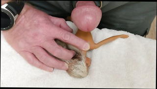 Video 1437757601: tiny butt, butt cum, gay man cum, barbie cummings, bare butt, stands nude, nude home, little nude, cum hd