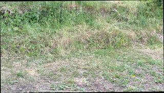 Video 1597372221: bdsm fetish slave, caged sex slave, pissing slave gay, fetish toy bdsm, gay humiliation slave, bdsm anal slave, fetish hardcore bdsm, fetish gay solo, solo piss play, skinny piss, pissing penis gay, pissing naked gay, pissing straight gay, pissing outdoors naked, fetish nipple play, gay man pissing, public pissing sex, german sex slave, solo toy hd