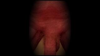 Video 1620430353: massage caught, solo caught, amateur couple caught, amateur massage girl, big dick caught, big dick solo male, long dick solo, fat dick solo, solo dick play, massage large, wife big dick