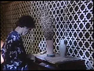 Video 108680101: siobhan hunter, paula meadows, stacey donovan, kristara barrington, taija rae, ashley moore, vintage hairy, vintage pornstar, vintage straight