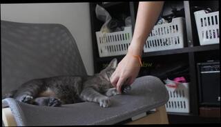 Video 1567792523: furry pussy, amateur pussy, touching pussy, pussy first time