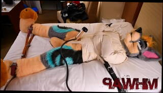 Video 1477320555: bdsm gay bondage, bondage milking, milking orgasm, gay furry, extreme milking