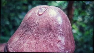 Video 1489251303: solo cock masturbation cum, dick solo masturbating cumming, amateur teen solo masturbation, solo guy jerks cock, solo masturbation huge cock, big cock solo jerk, solo male masturbation cum, solo male masturbation cumshot, solo handjob cum, solo close cock, solo masturbation extreme, big black cock solo, solo cock play, dripping solo, solo natural, amateur teen handjob, cock dripping precum, cock drooling