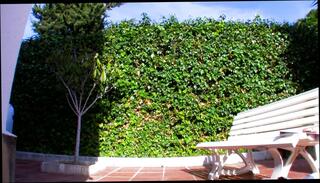 Video 1657215811: tits girl pussy, blowjob cumshot pussy, rams slutty, slutty small tits, small tits pussy hard, slutty hot girl, small tits shaved pussy, tits european pussy, pussy girls outdoors, rammed cum, hard straight girl, slutty high heels, belly small tits, europe girl, hd hot girl